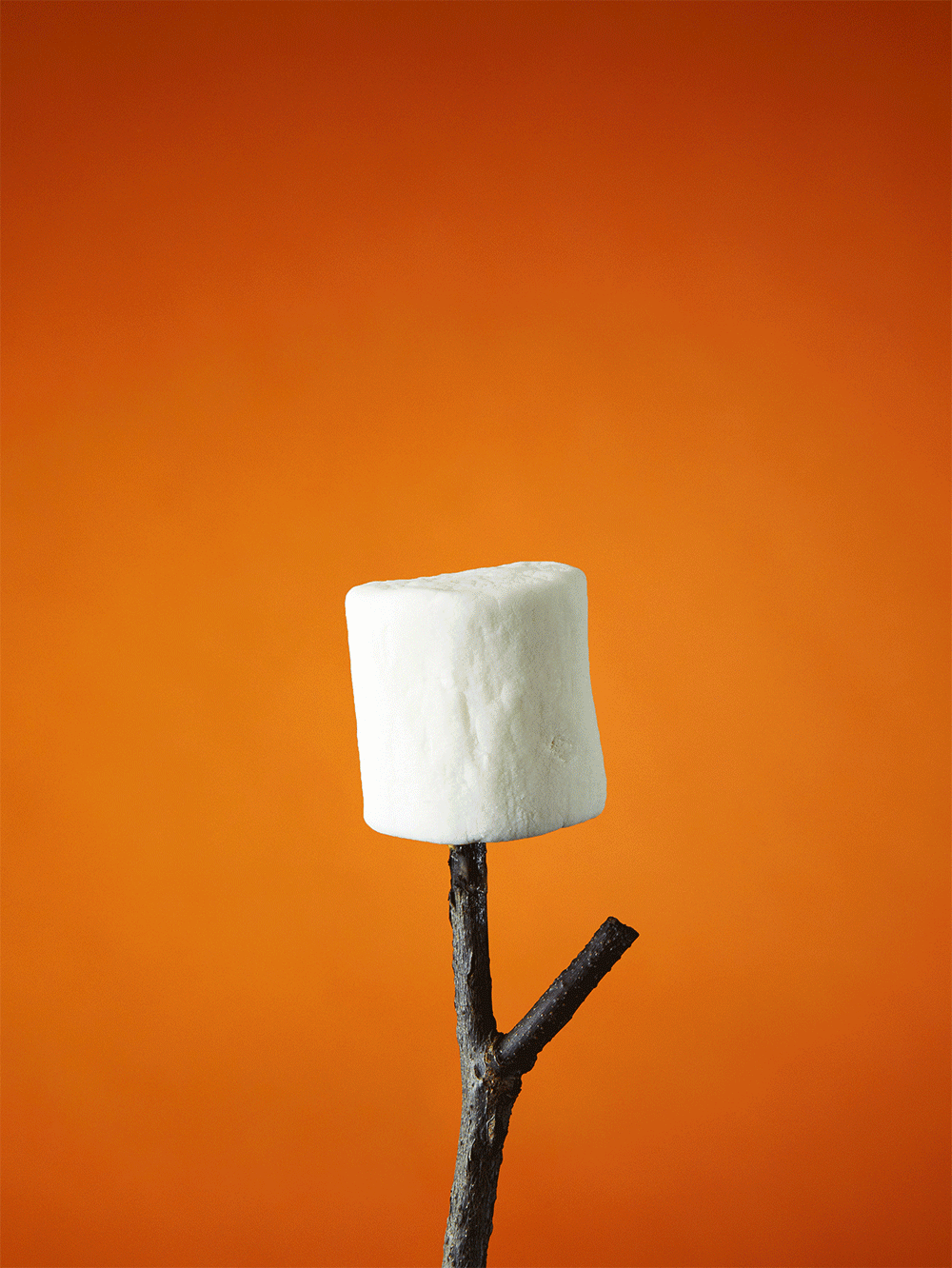 OB_Smores_TeaserGif_Low_Res