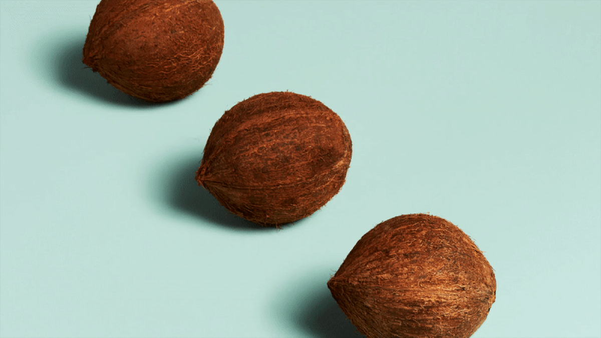 Split_Coconuts-R3-16x9-Gv2_REVISED